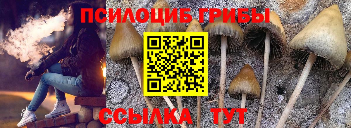 Шали  Галлюциногенные грибы Magic Shrooms  Вход с VPN 